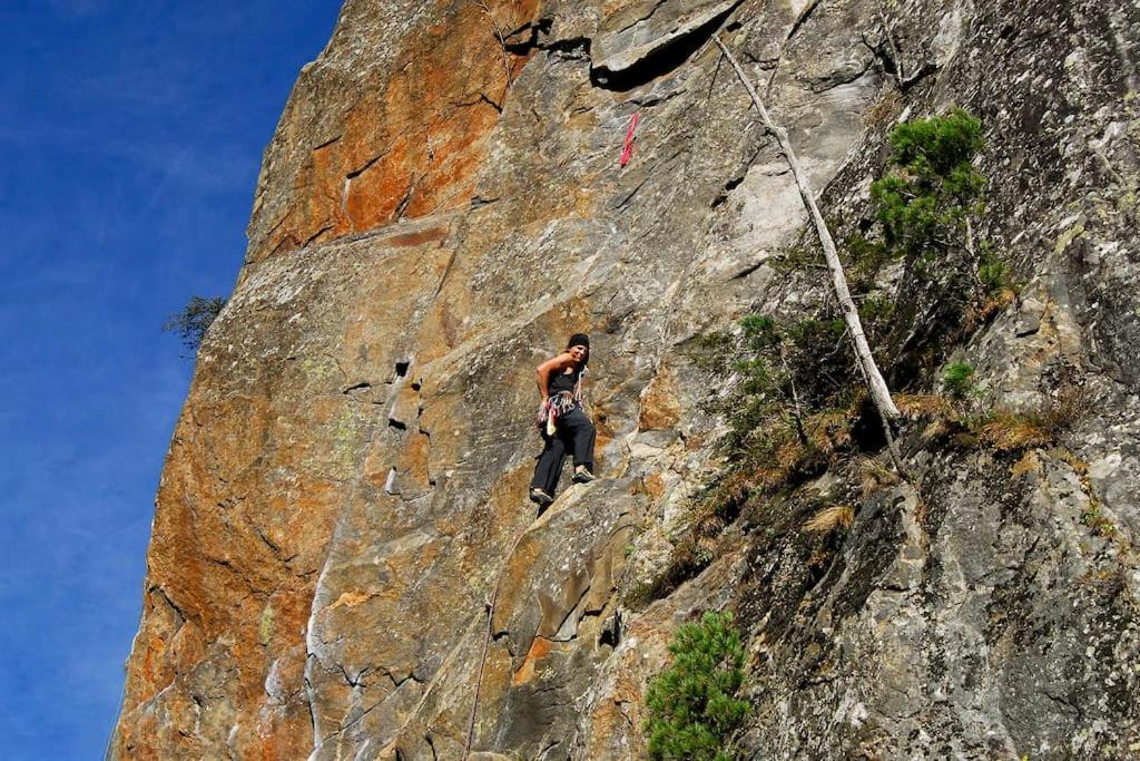 Alpenrose Διαμέρισμα Ramsau im Zillertal Εξωτερικό φωτογραφία